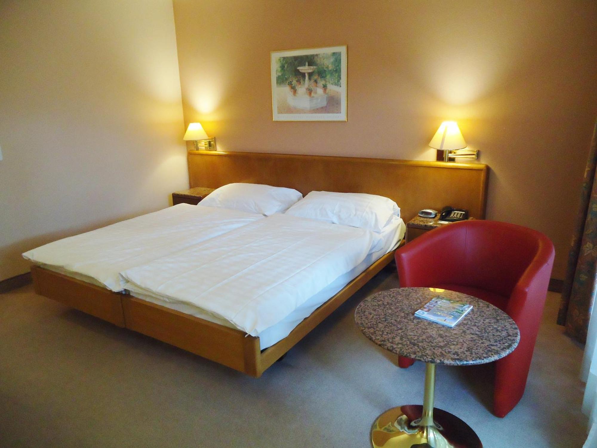 Hotel Le Cedre Bex Δωμάτιο φωτογραφία